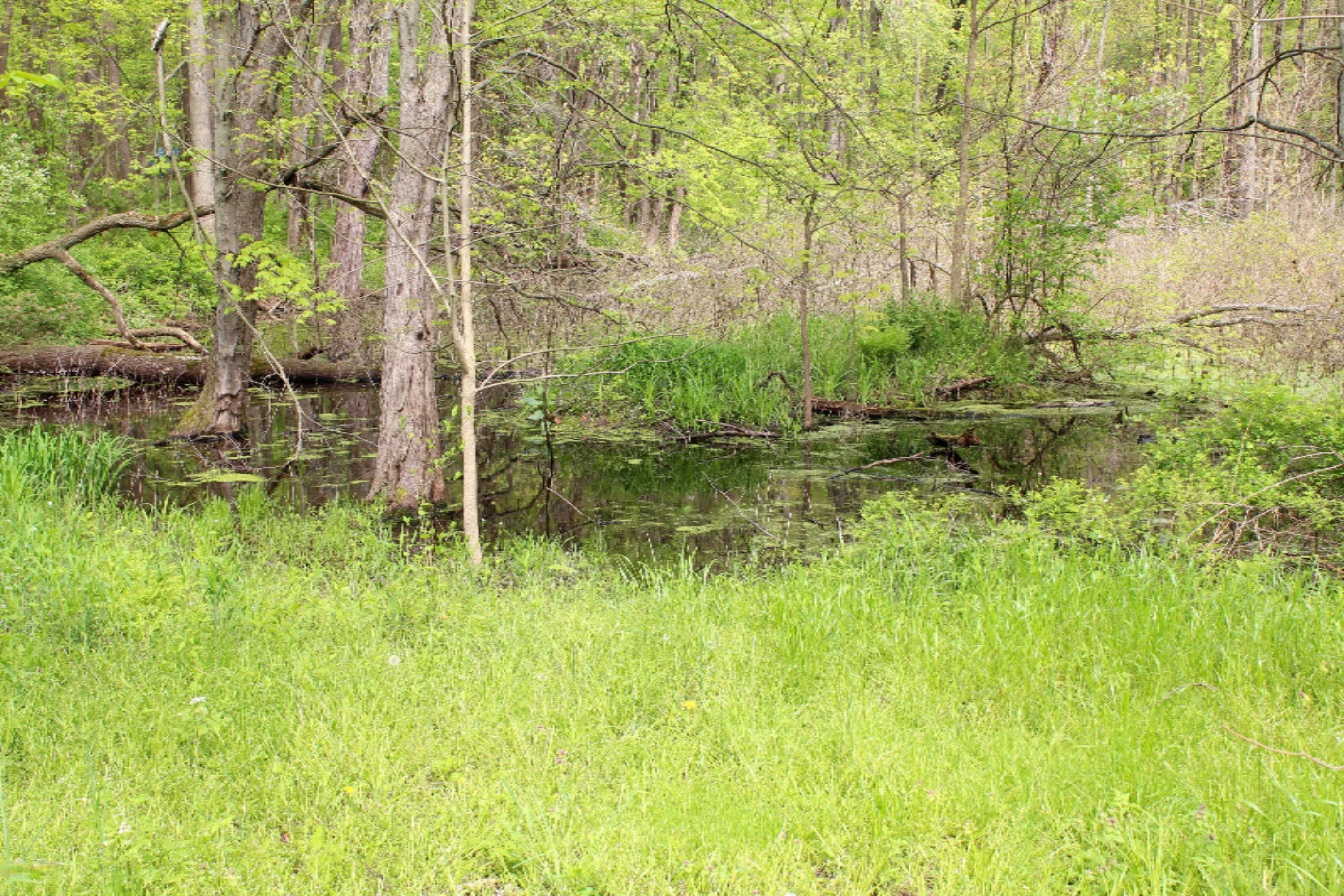 8031 Chapel Road Niles, MI 49120 - Photo 6 of 28 IMG_0193