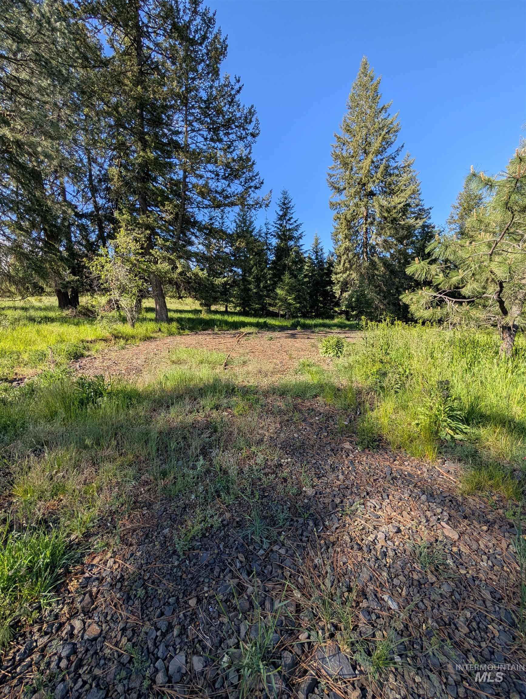 Parcel B Old Elk City Wagon Road Stites, ID 83552 - Photo 1 of 8