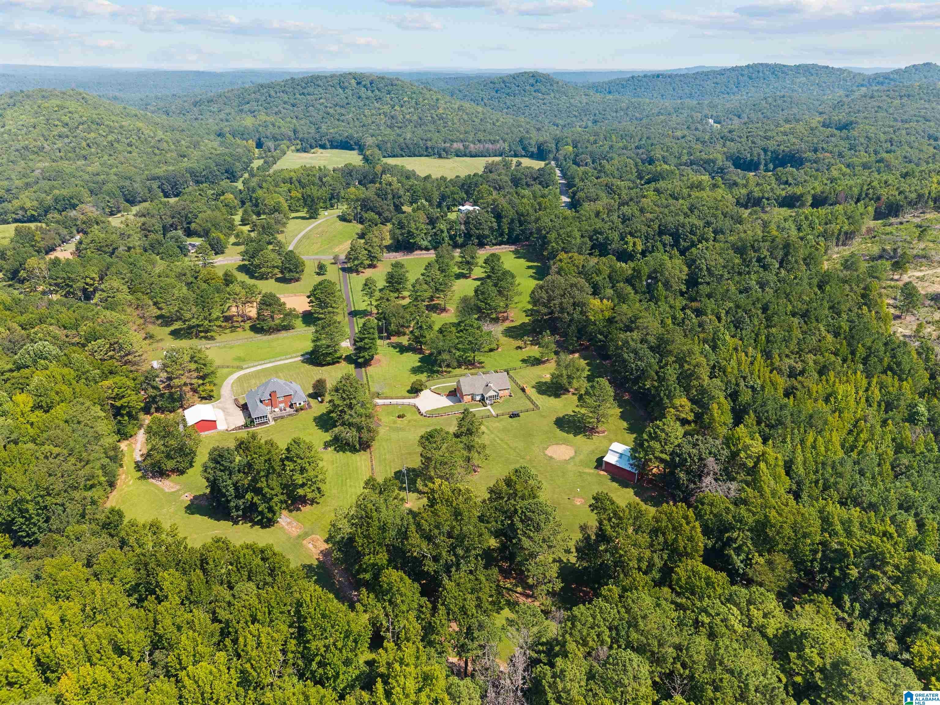 8401 Clayton Road Springville, AL 35146 - Photo 54 of 60 Gallery Image 54