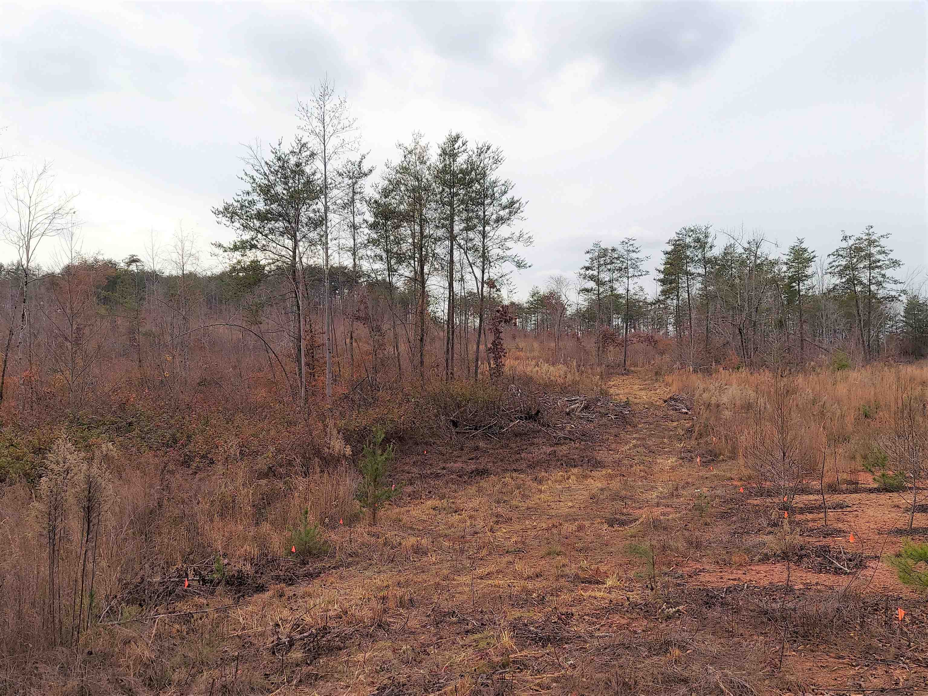 0 White Horse Rd Extension Travelers Rest, SC 29690 - Photo 2 of 3 Gallery Image 2