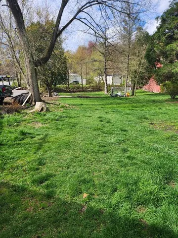 a view of a park with large trees