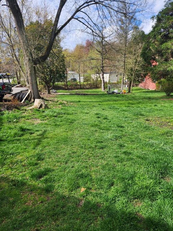 99 Main Street Grampian, PA 16838 - Photo 4 of 14 a view of a park with large trees