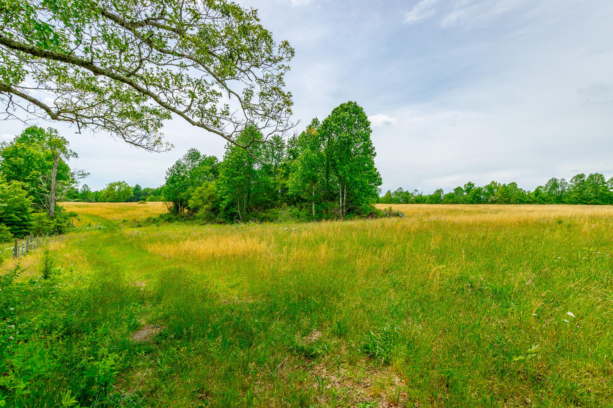 0 Ray Gadd Road Graysville, TN 37338 - Photo 53 of 109 Ray Gadd Road Lot HD-45