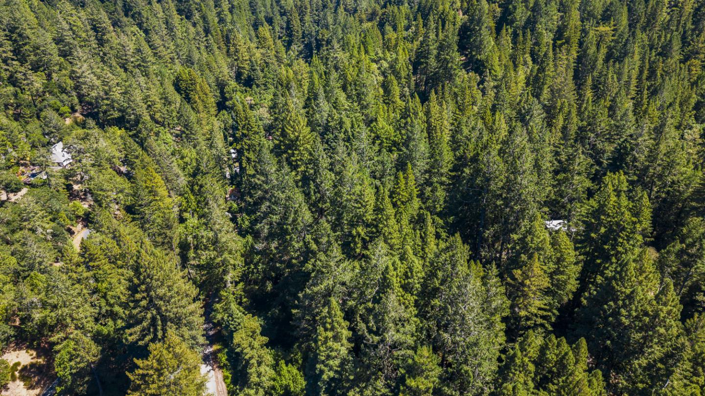 8400 Tyrone Road Monte Rio, CA 95462 - Photo 55 of 61 Gallery Image 55