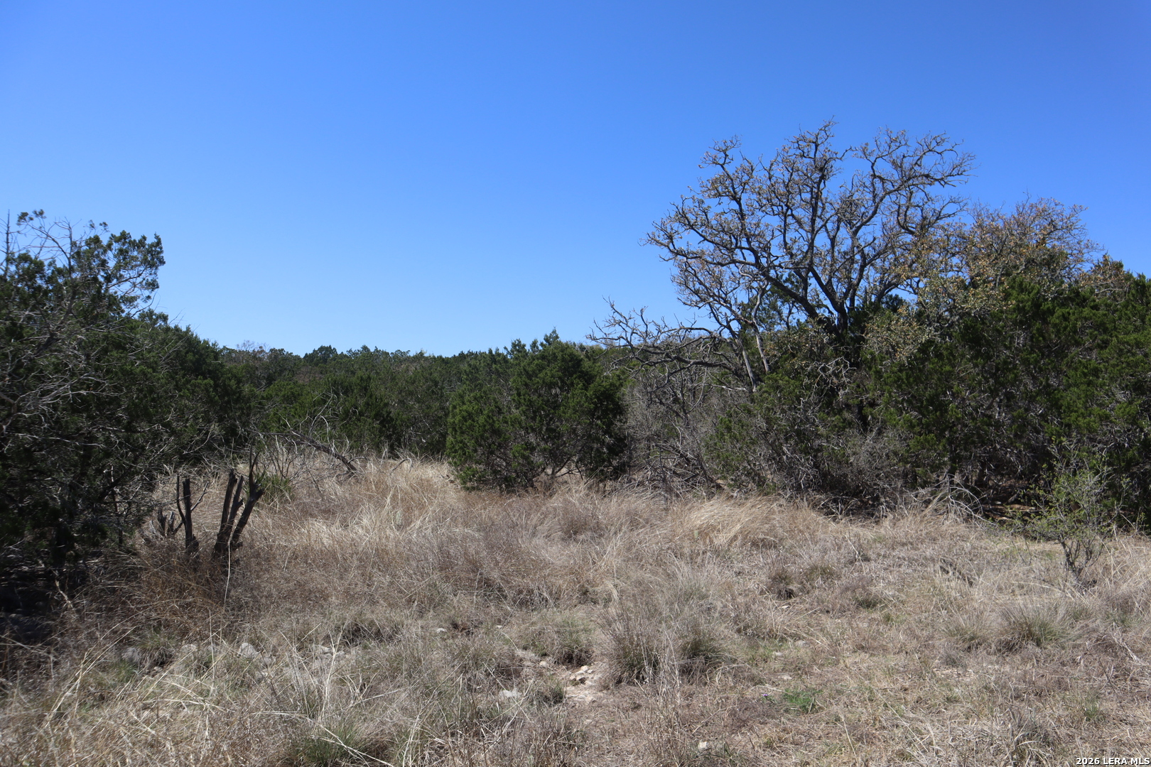 462 Schenk Witkowski Road Rocksprings, TX 78880 - Photo 49 of 63
