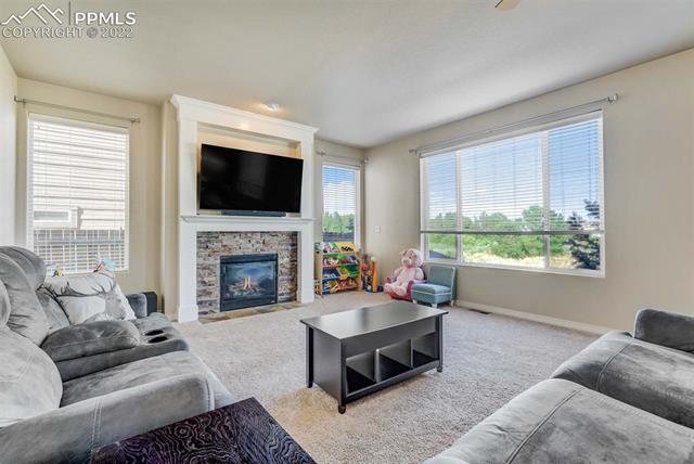 2055 Reed Grass Way Colorado Springs, CO 80915 - Photo 4 of 25