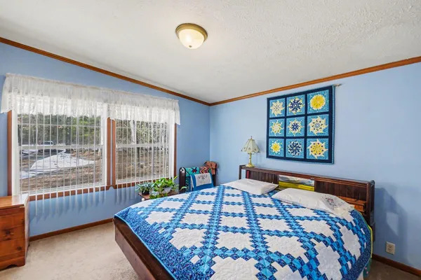 $325,000 | 11000 Wilvan Drive, Bitely, MI 49309