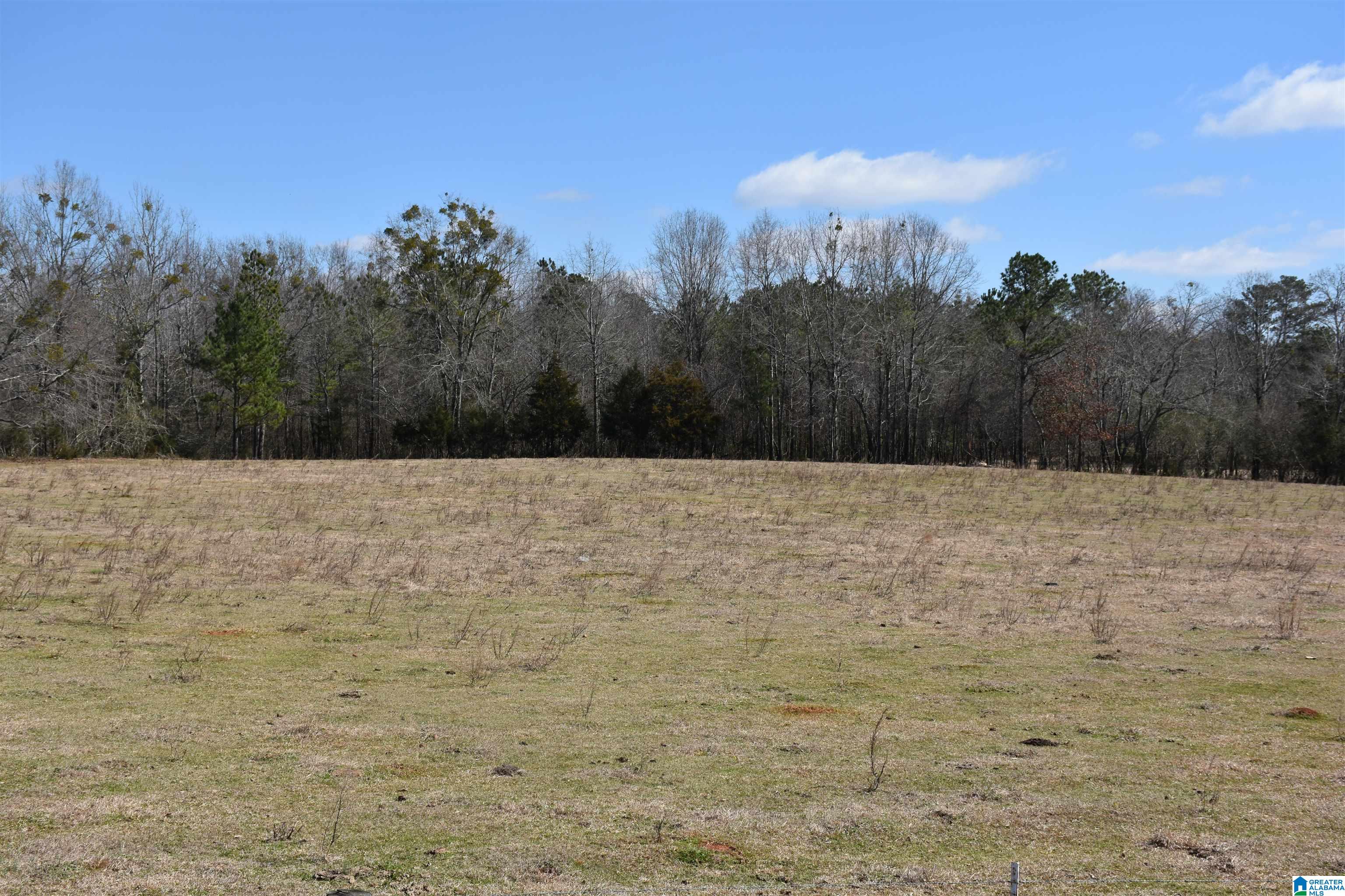 2003 New Maryland Road Alpine, AL 35014 - Photo 9 of 38