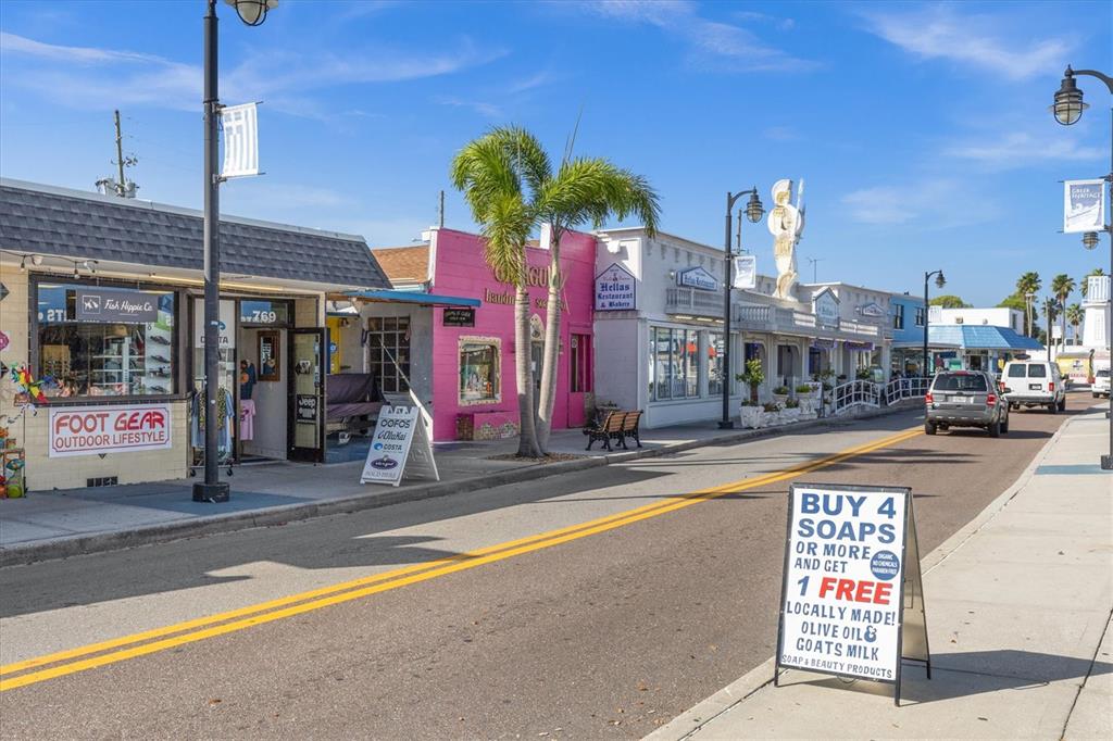 1250 South Pinellas Avenue, Unit 804 Tarpon Springs, FL 34689 - Photo 29 of 34