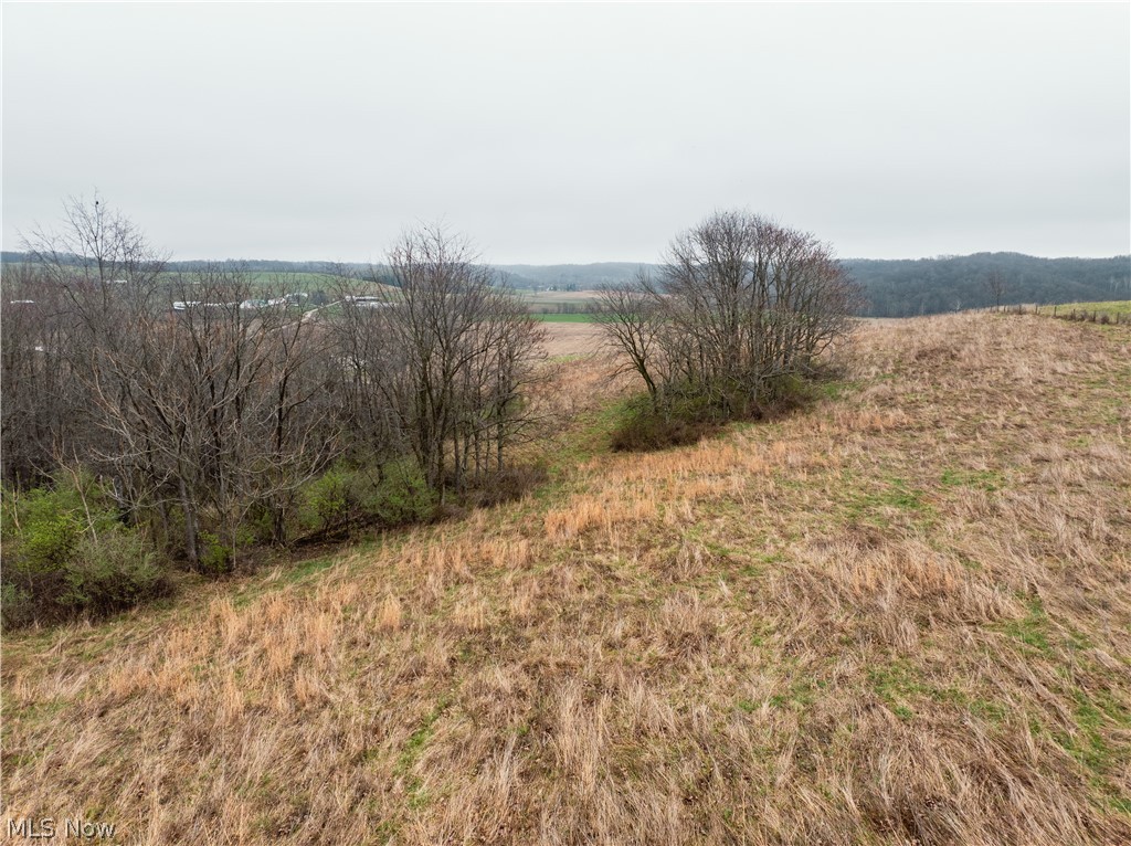 Buck Hill Road Frazeysburg, OH 43822 - Photo 18 of 24