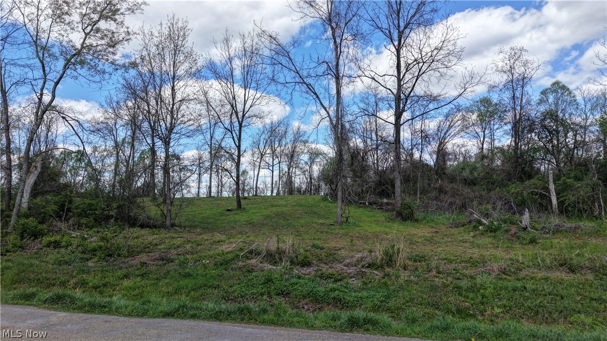 Deersville Ridge Road Cadiz, OH 43907 - Photo 8 of 41