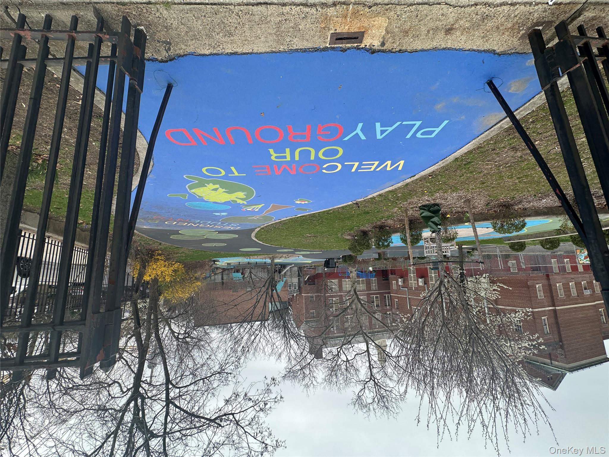 241-20 Northern Boulevard, Unit 1M Queens, NY 11362 - Photo 22 of 31 a view of swimming pool with a yard and tree