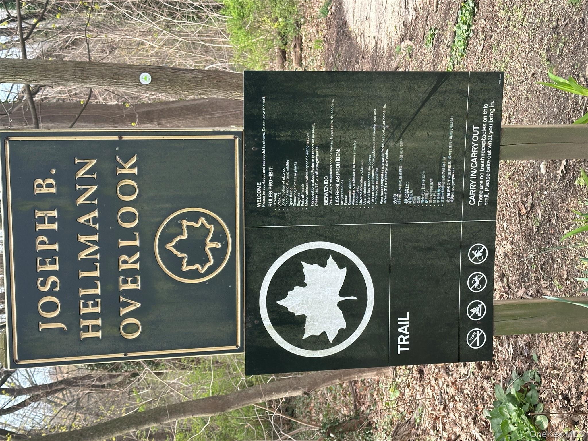 241-20 Northern Boulevard, Unit 1M Queens, NY 11362 - Photo 26 of 31 a close up of a sink