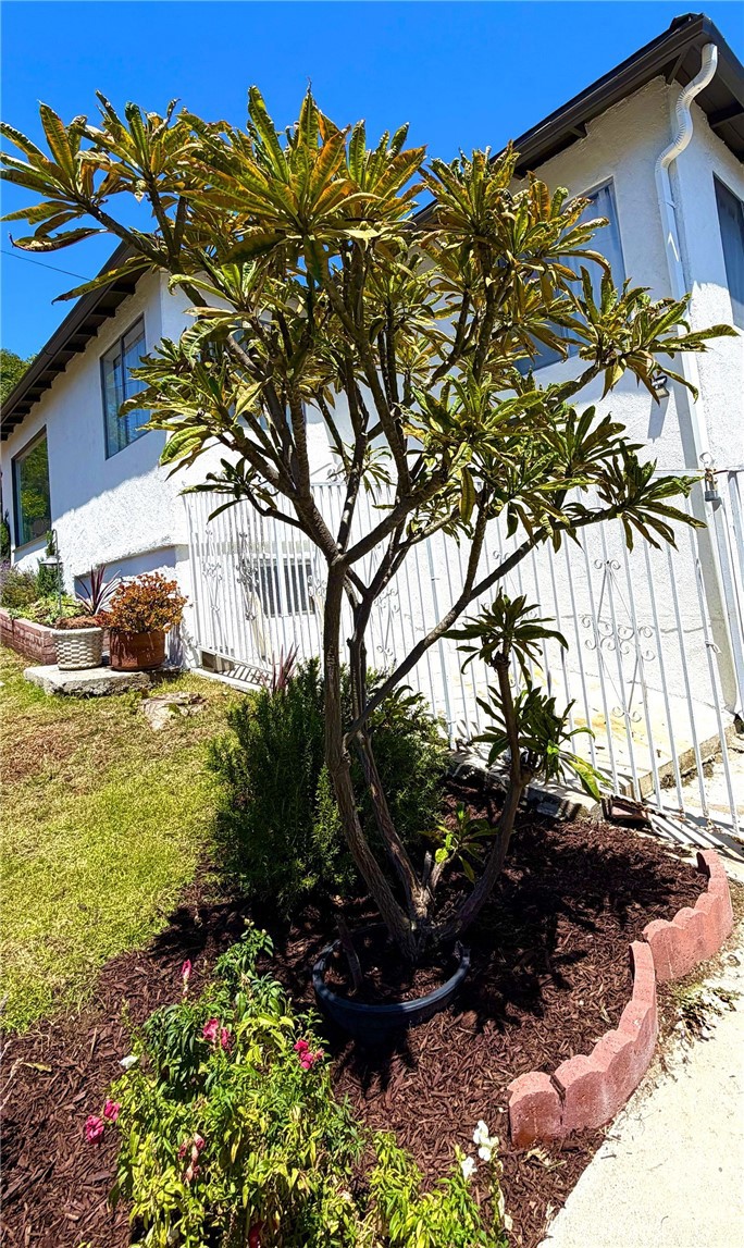 2012 Barnett Road Los Angeles, CA 90032 - Photo 4 of 6