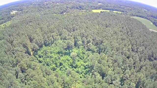 0 Nursery Road Reevesville, SC 29471 - Photo 5 of 11