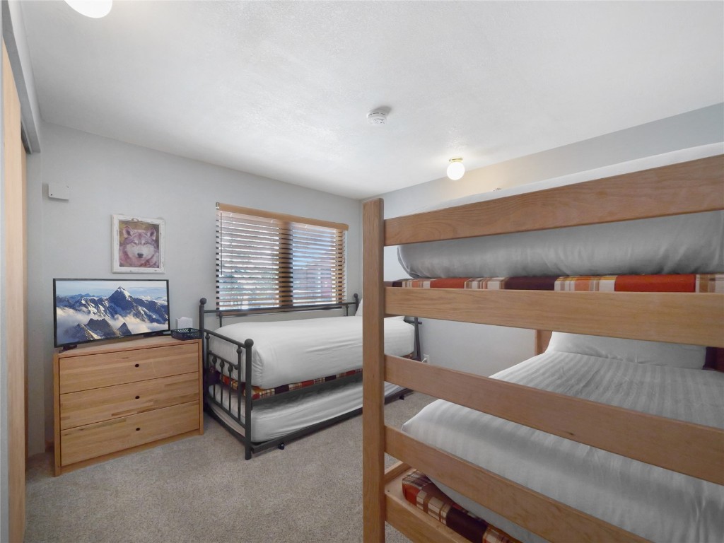 203 Gentian Road Keystone, CO 80435 - Photo 21 of 36