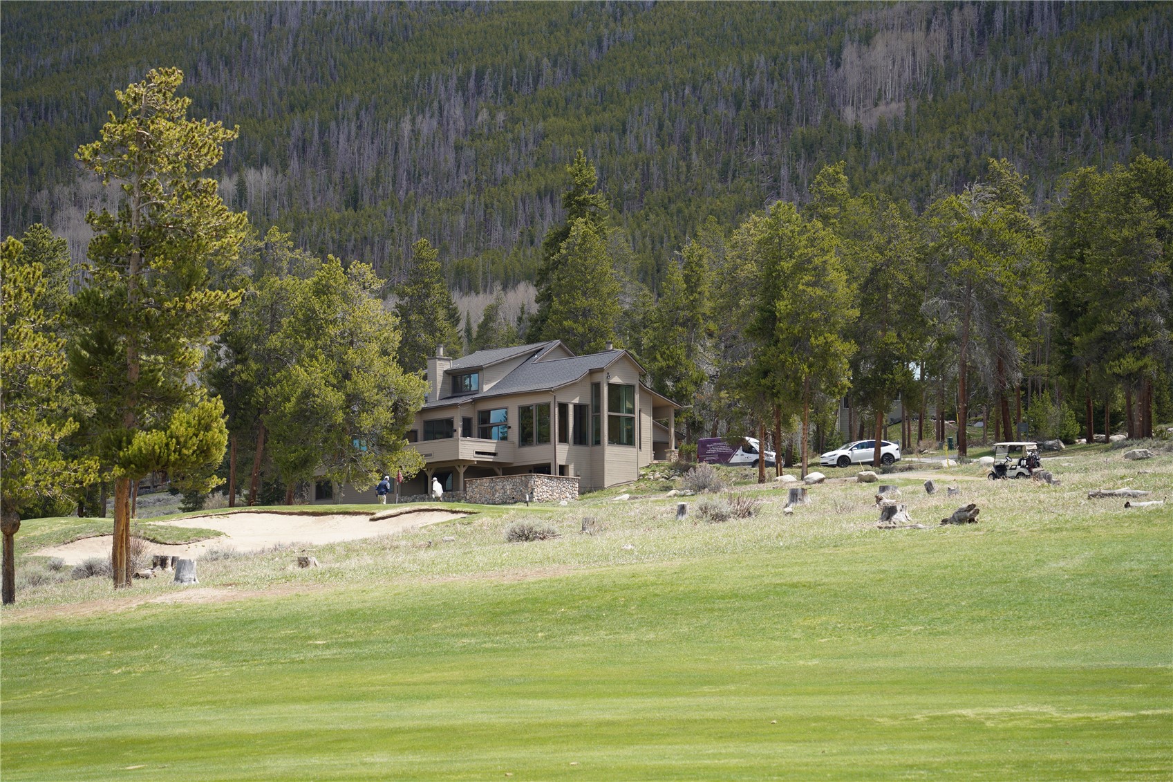 203 Gentian Road Keystone, CO 80435 - Photo 10 of 36