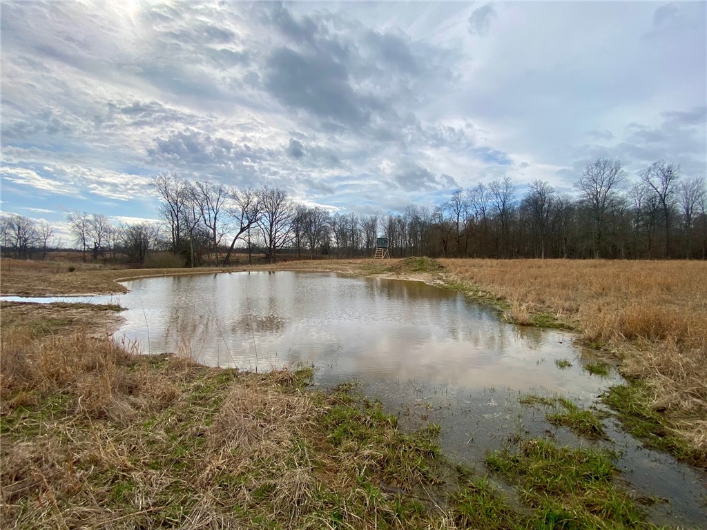 77 Wildcat Road Winchester, OH 45697 - Photo 11 of 19 This serene pond is an ideal natural setting for outdoor pursuits.