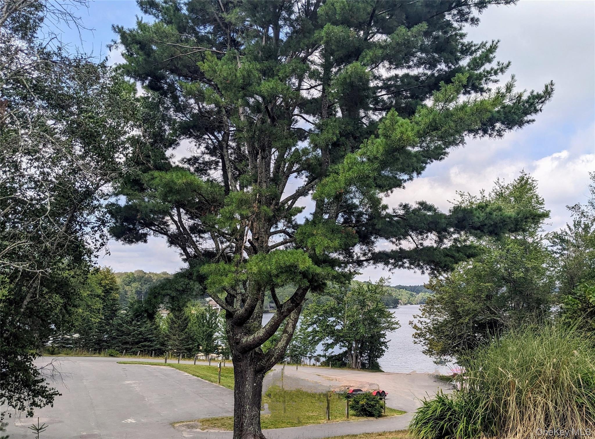 55 State Route Kauneonga Lake, NY 12720 - Photo 13 of 14