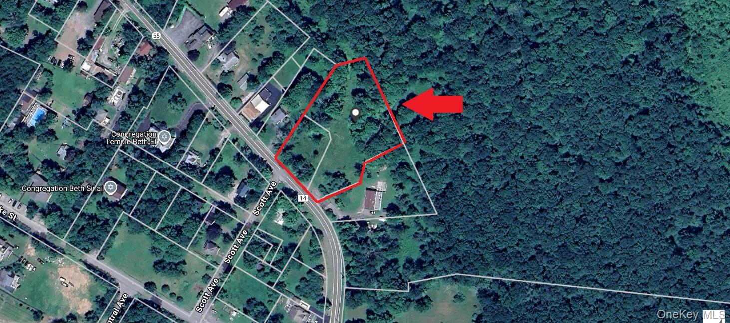 55 State Route Kauneonga Lake, NY 12720 - Photo 14 of 14