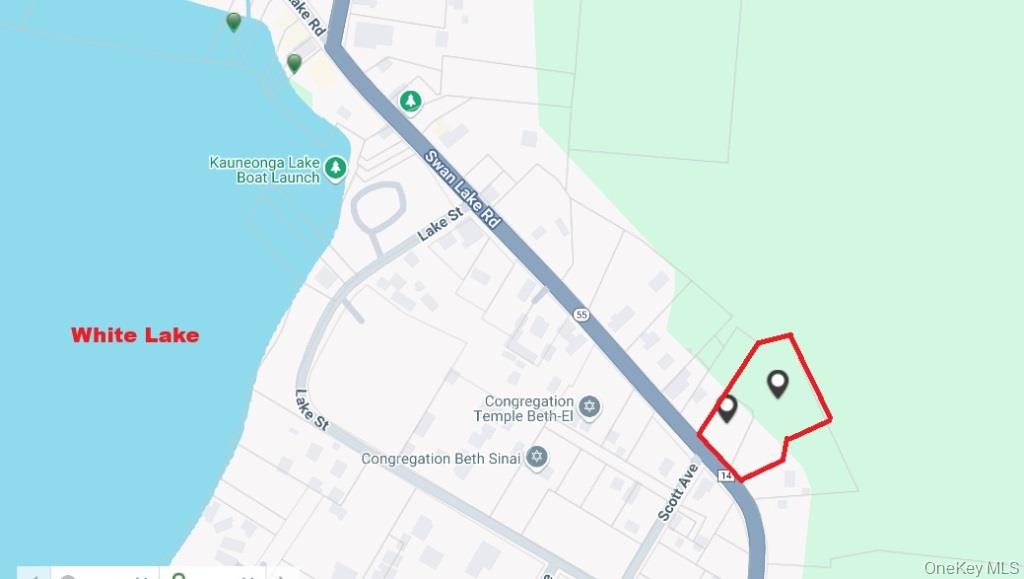 55 State Route Kauneonga Lake, NY 12720 - Photo 2 of 14