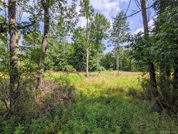 $89,000 | 55 State Route, Kauneonga Lake, NY 12720