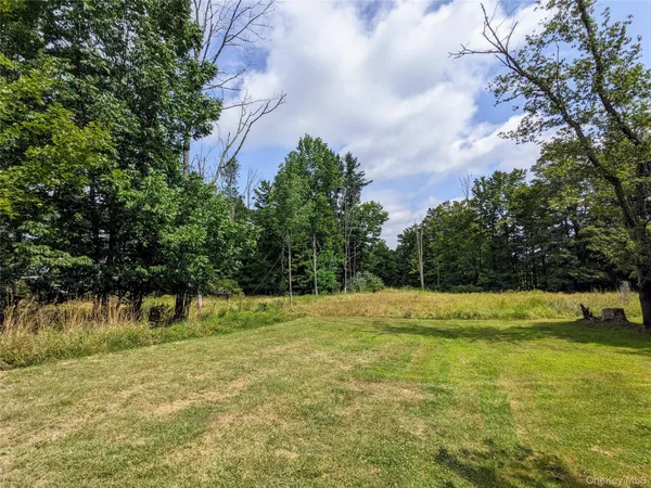 $89,000 | 55 State Route, Kauneonga Lake, NY 12720