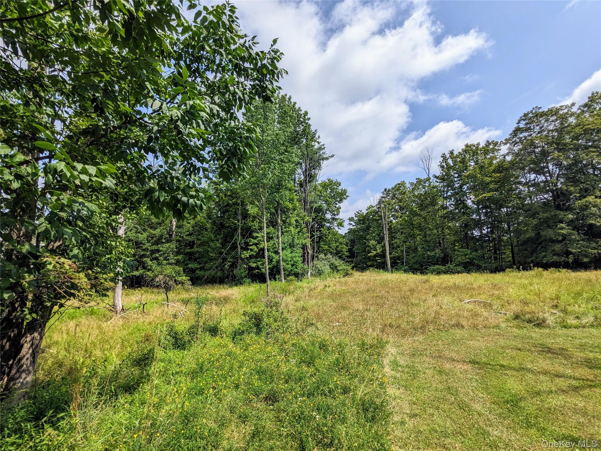 55 State Route Kauneonga Lake, NY 12720 - Photo 7 of 14