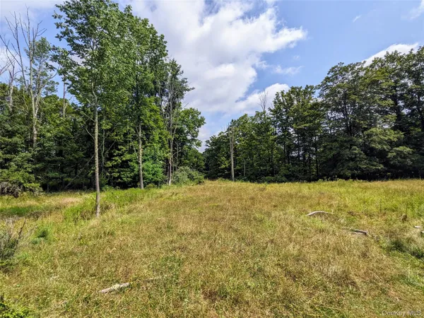 $89,000 | 55 State Route, Kauneonga Lake, NY 12720