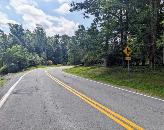 $89,000 | 55 State Route, Kauneonga Lake, NY 12720