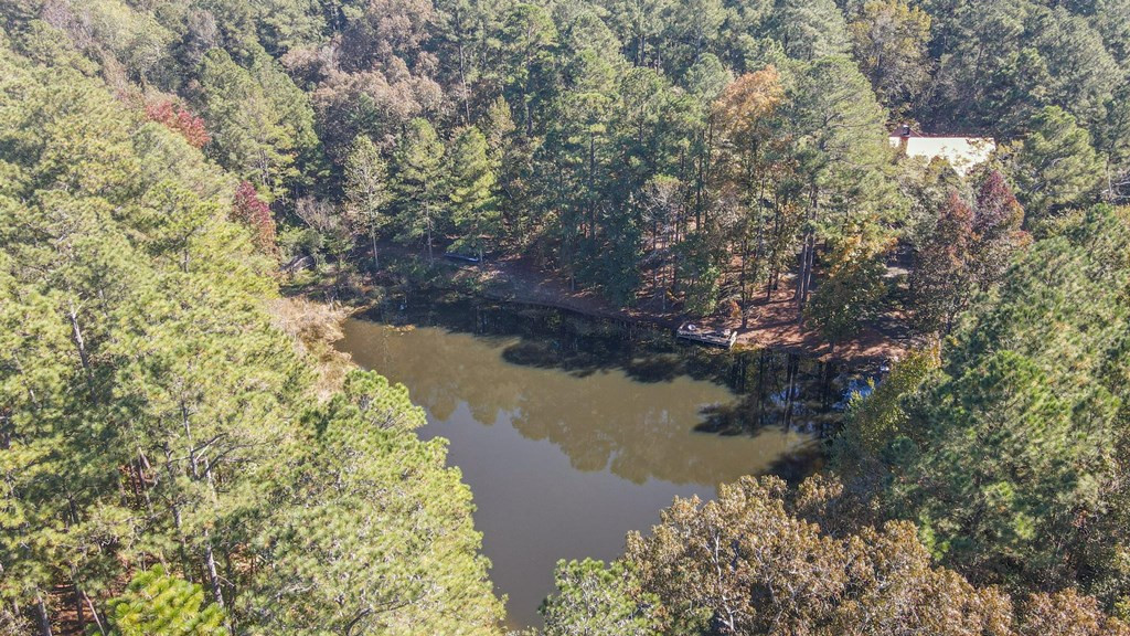 1109 Richardsons Lake Road Aiken, SC 29803 - Photo 12 of 66