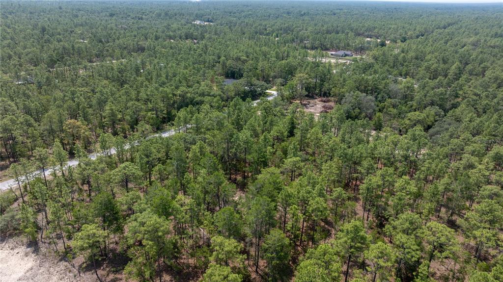 Southwest 129th Terrace Road Dunnellon, FL 34432 - Photo 4 of 7 Gallery Image 4
