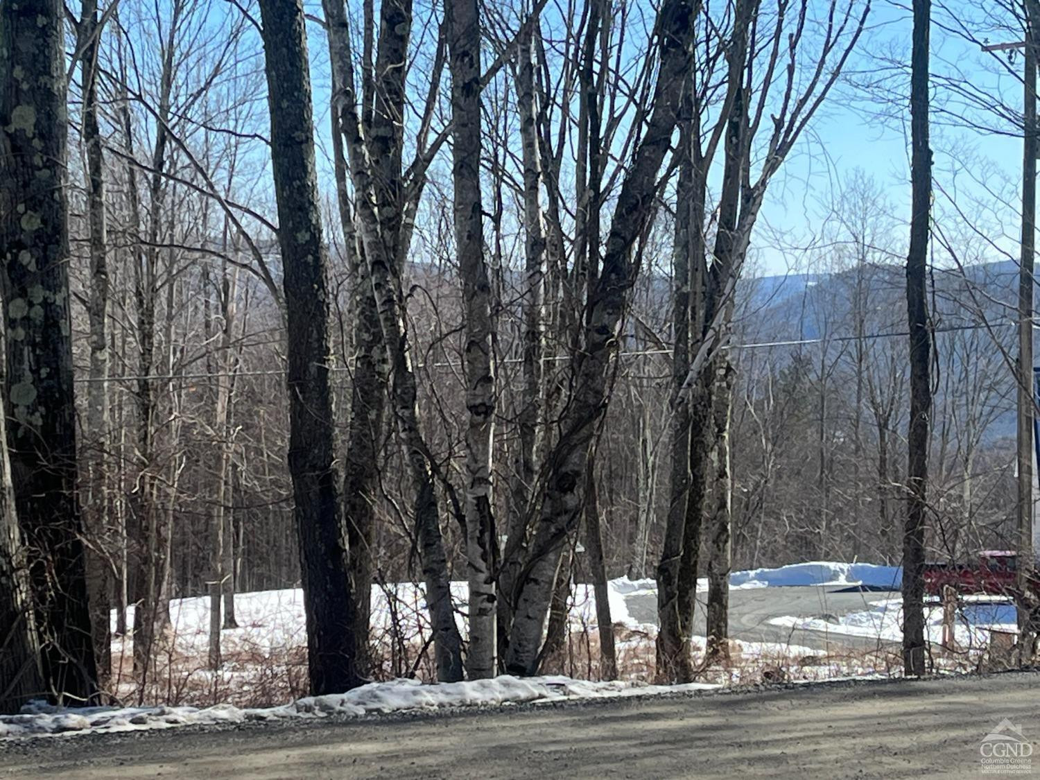 347 West Hill Road New Lebanon, NY 12125 - Photo 7 of 18 Photo 7