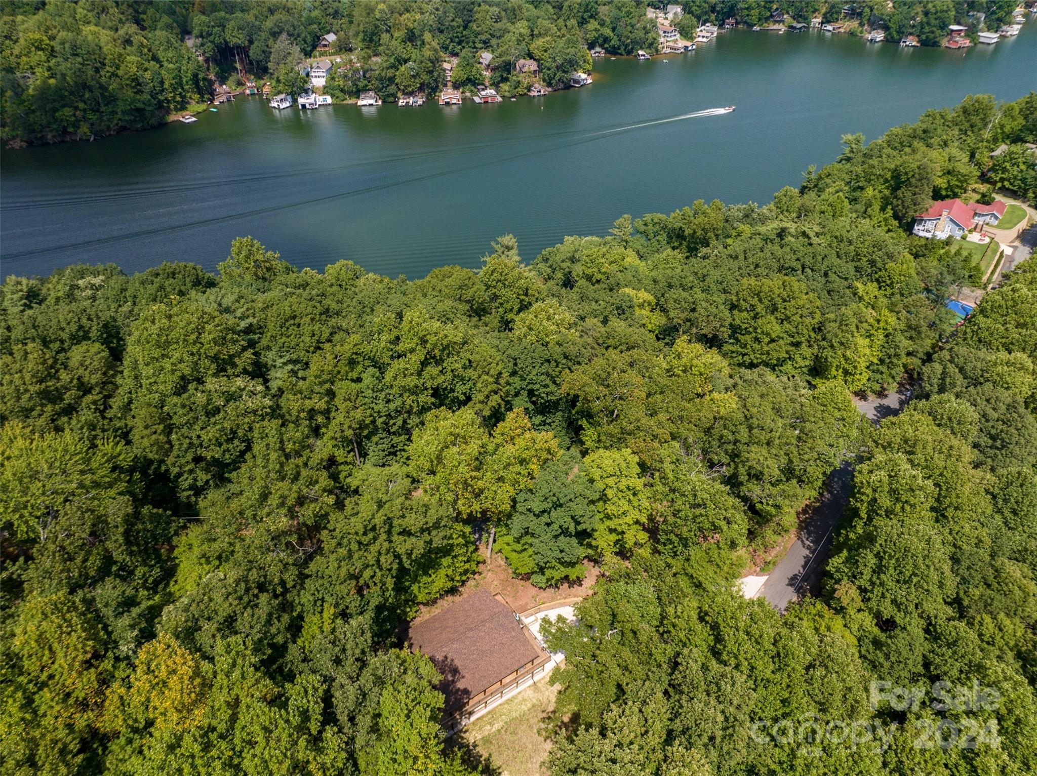 229 Seton Road Lake Lure, NC 28746 - Photo 5 of 48 Gallery Image 5