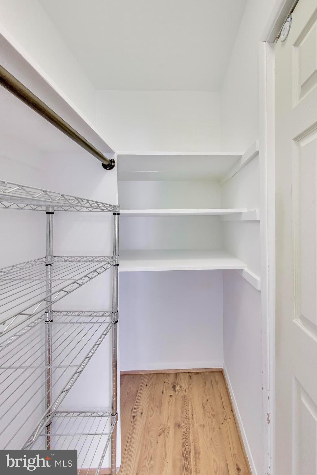 7402 Inzer Street Springfield, VA 22151 - Photo 9 of 49 Walk-In Pantry/Closet with Shelving
