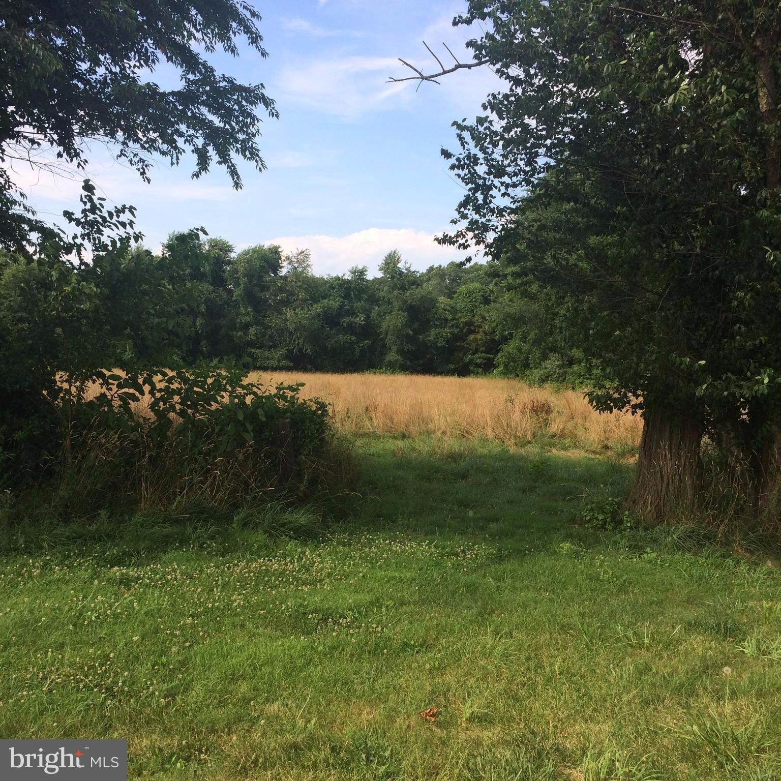 9671 Clarkes Road Bealeton, VA 22712 - Photo 11 of 12 a view of lake with green space