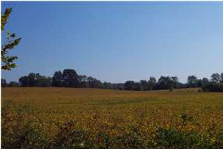 0 Hewins Road Boonville, IN 47601 - Photo 1 of 1 Gallery Image 1