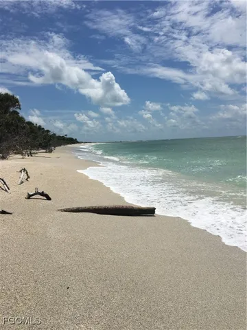 a view of a yard of the house