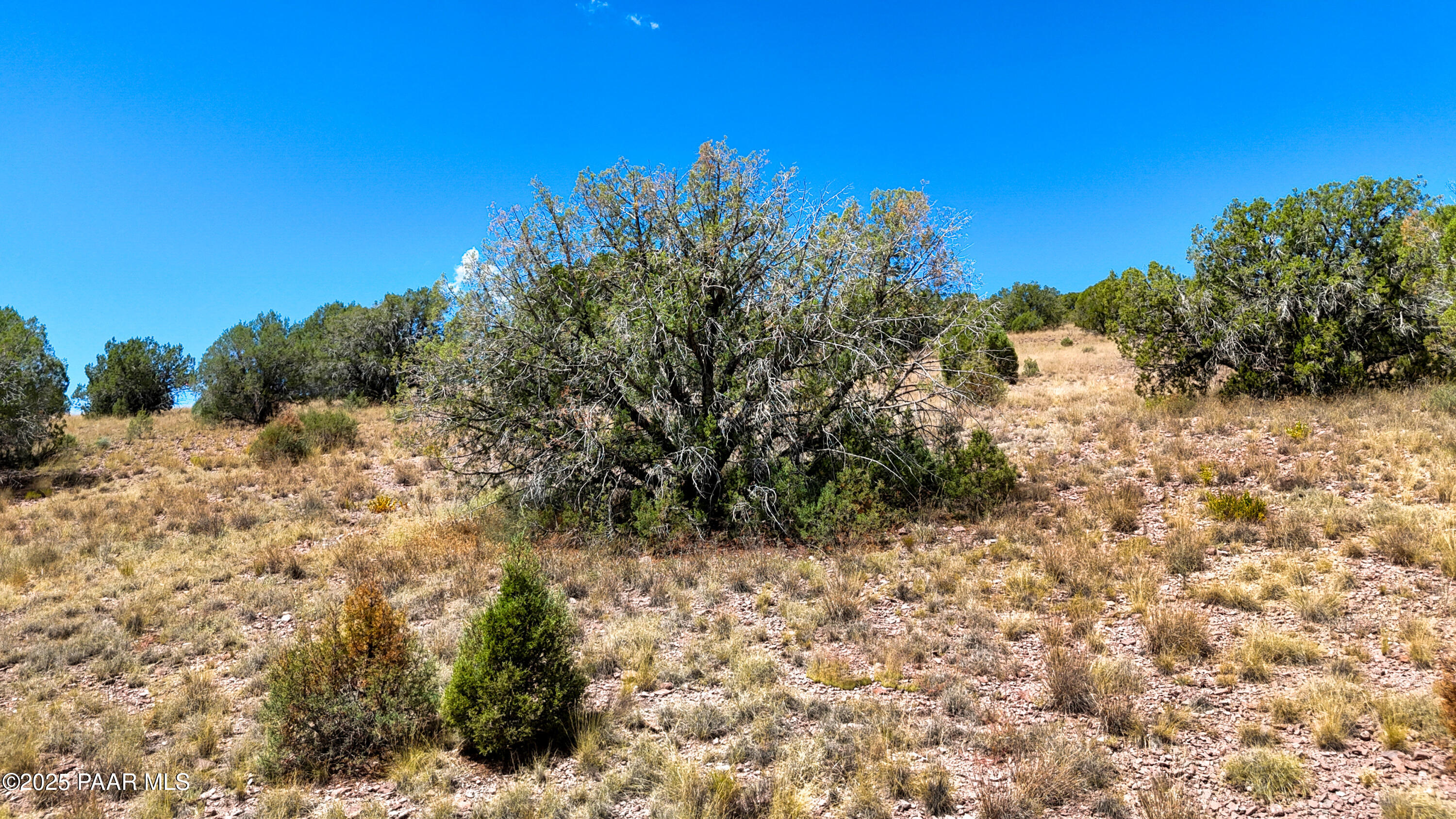 0 West Hilltop Road Chino Valley, AZ 86323 - Photo 14 of 20 33-Lot Photo D3 (2)