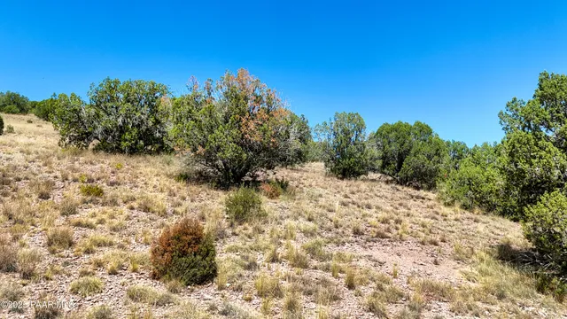 $79,000 | 0 West Hilltop Road, Chino Valley, AZ 86323