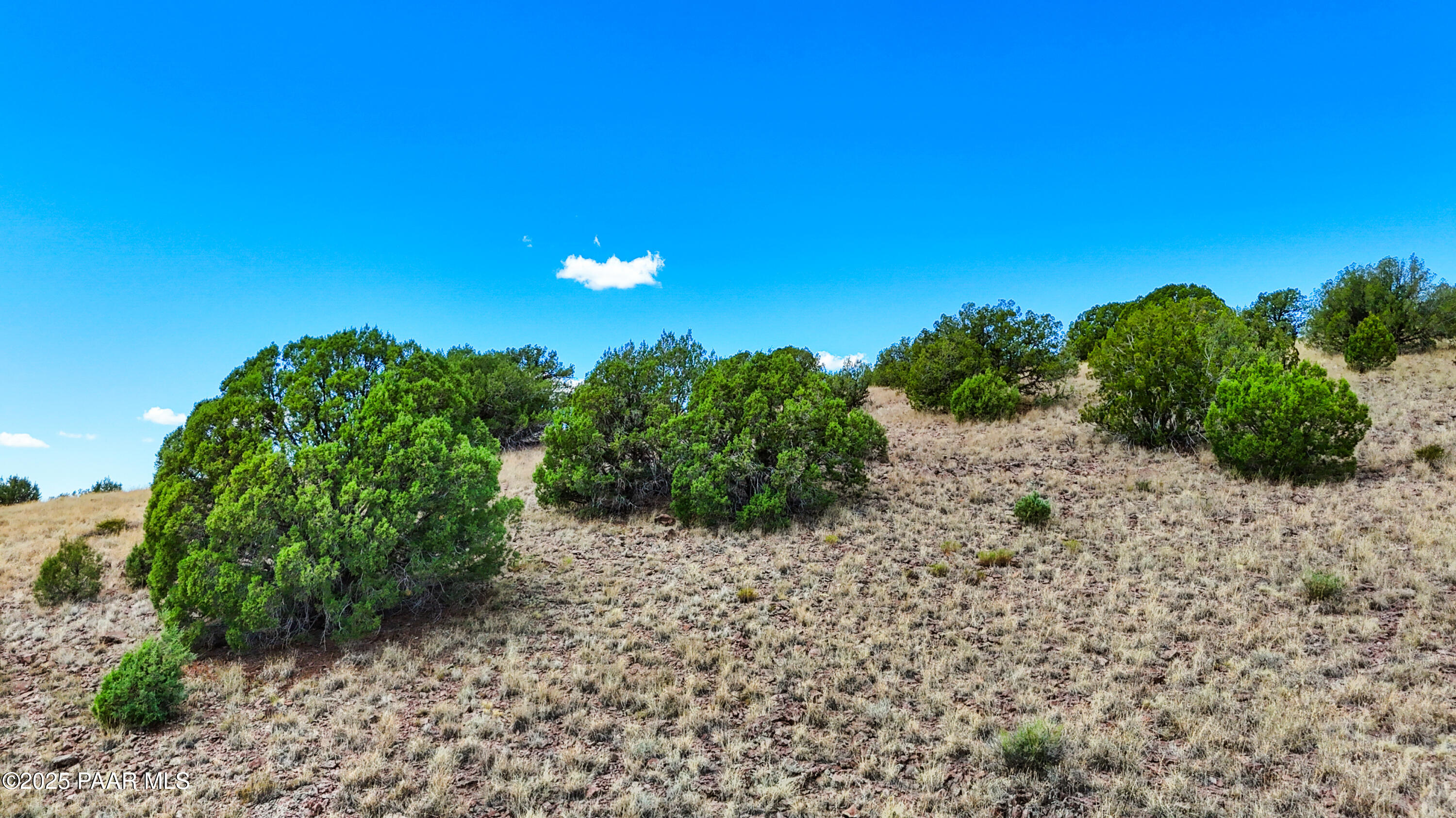 0 West Hilltop Road Chino Valley, AZ 86323 - Photo 19 of 20 36-Lot Photo D3 (5)