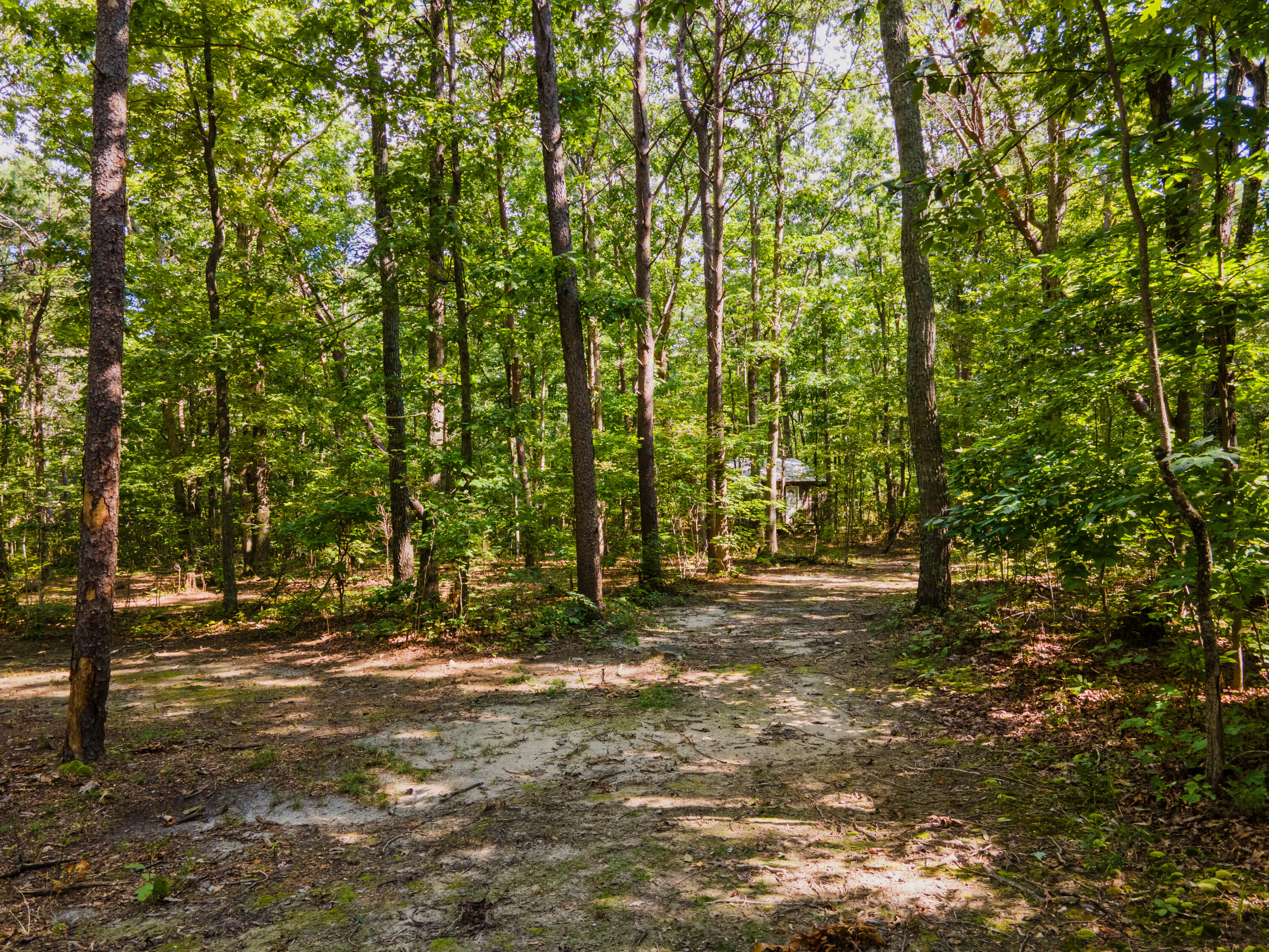 1782 Plum Nelly Road Rising Fawn, GA 30738 - Photo 46 of 60 DJI_0179-HDR