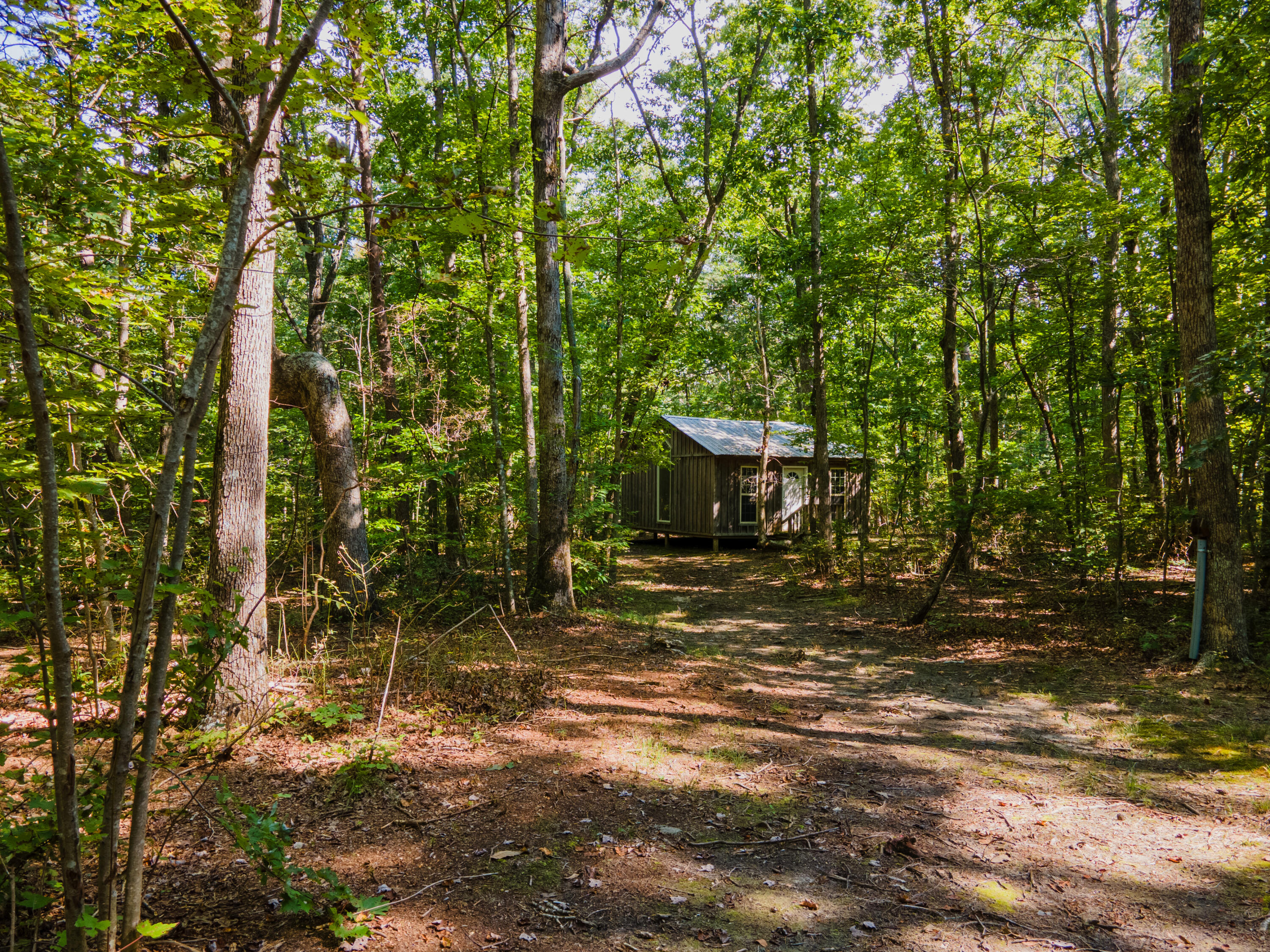 1782 Plum Nelly Road Rising Fawn, GA 30738 - Photo 47 of 60 DJI_0184-HDR