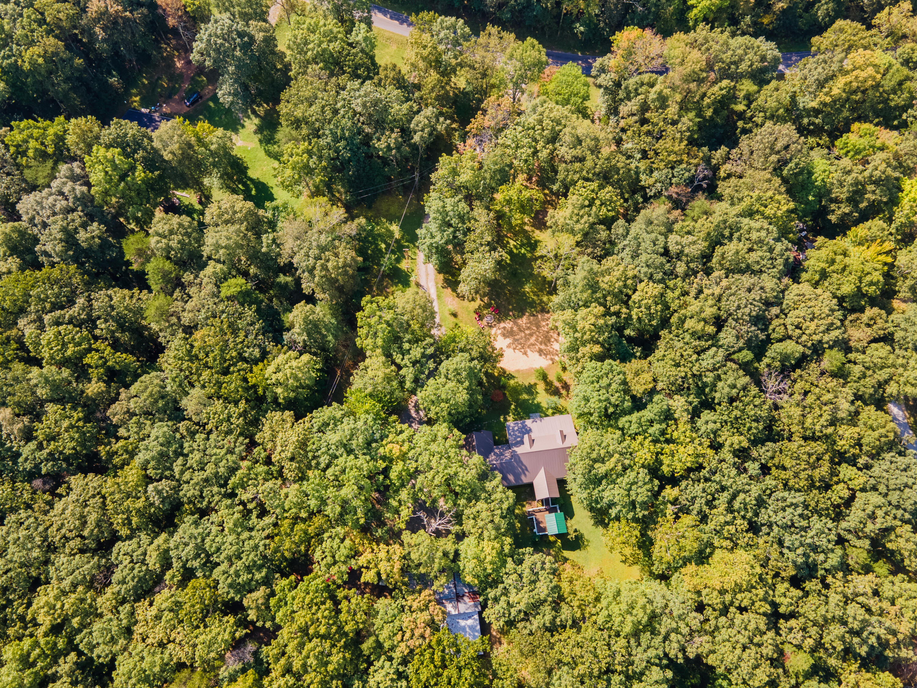 1782 Plum Nelly Road Rising Fawn, GA 30738 - Photo 6 of 60 DJI_0109-HDR