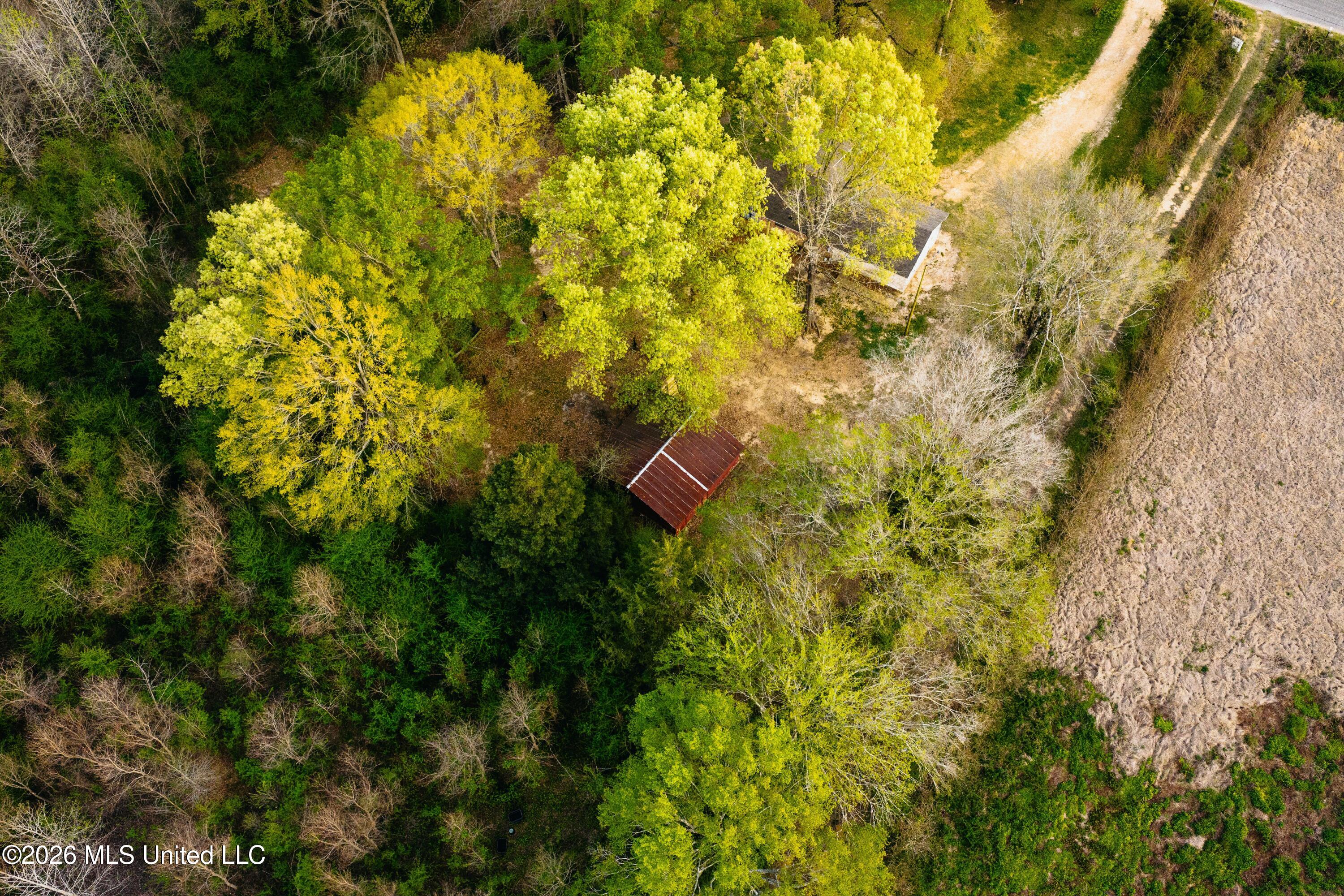 1844 Volley Campbell Road Terry, MS 39170 - Photo 61 of 81 DJI_20260324072436_0217_D