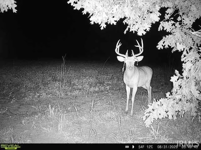 $429,900 | 100 North 600 East, Knox, IN 46534