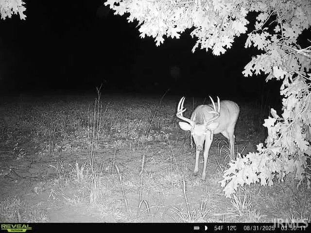 $429,900 | 100 North 600 East, Knox, IN 46534