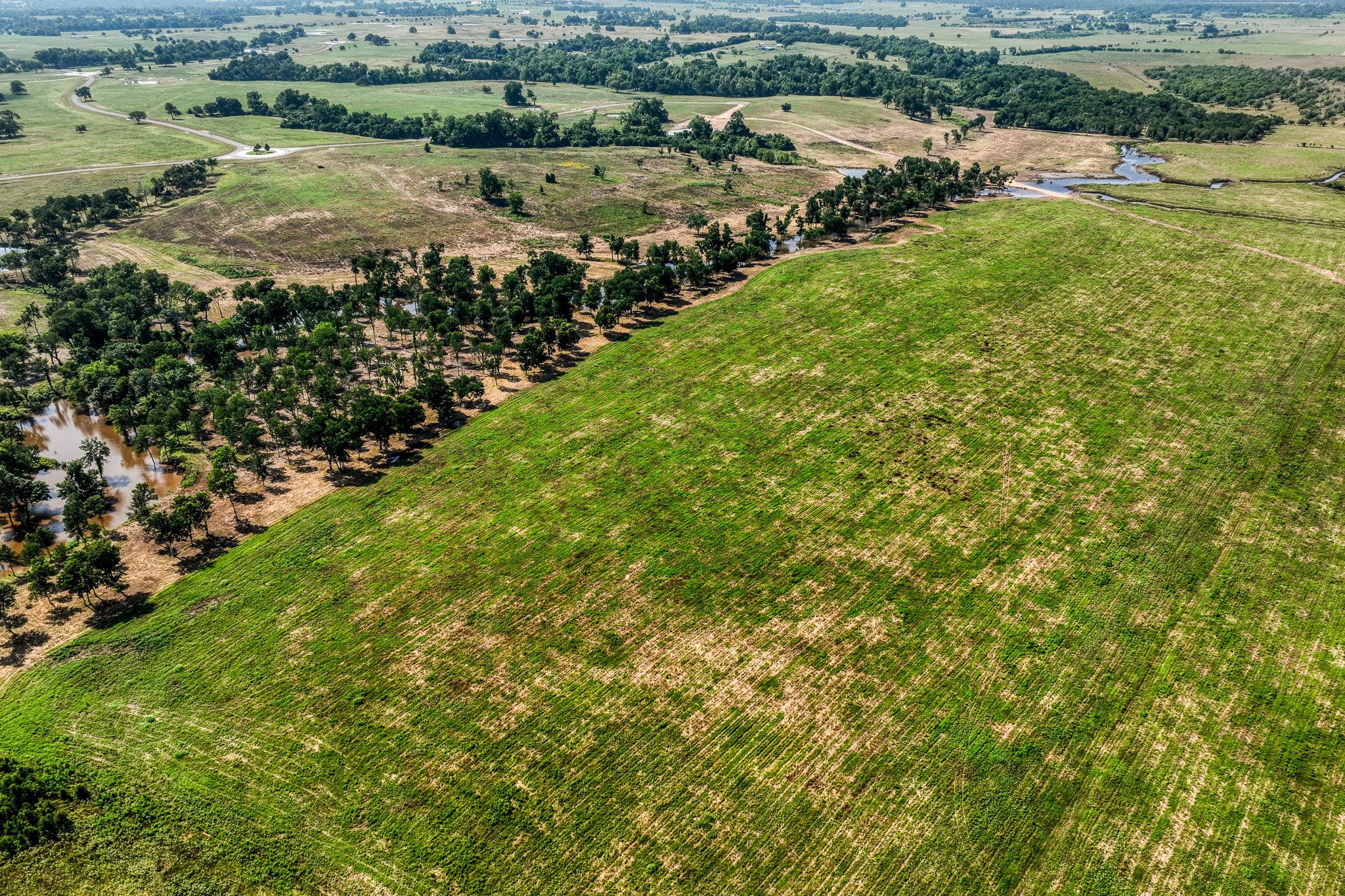 6164 Brazos Bow Way Washington, TX 77880 - Photo 12 of 43 an aerial view of residential houses with outdoor space and trees