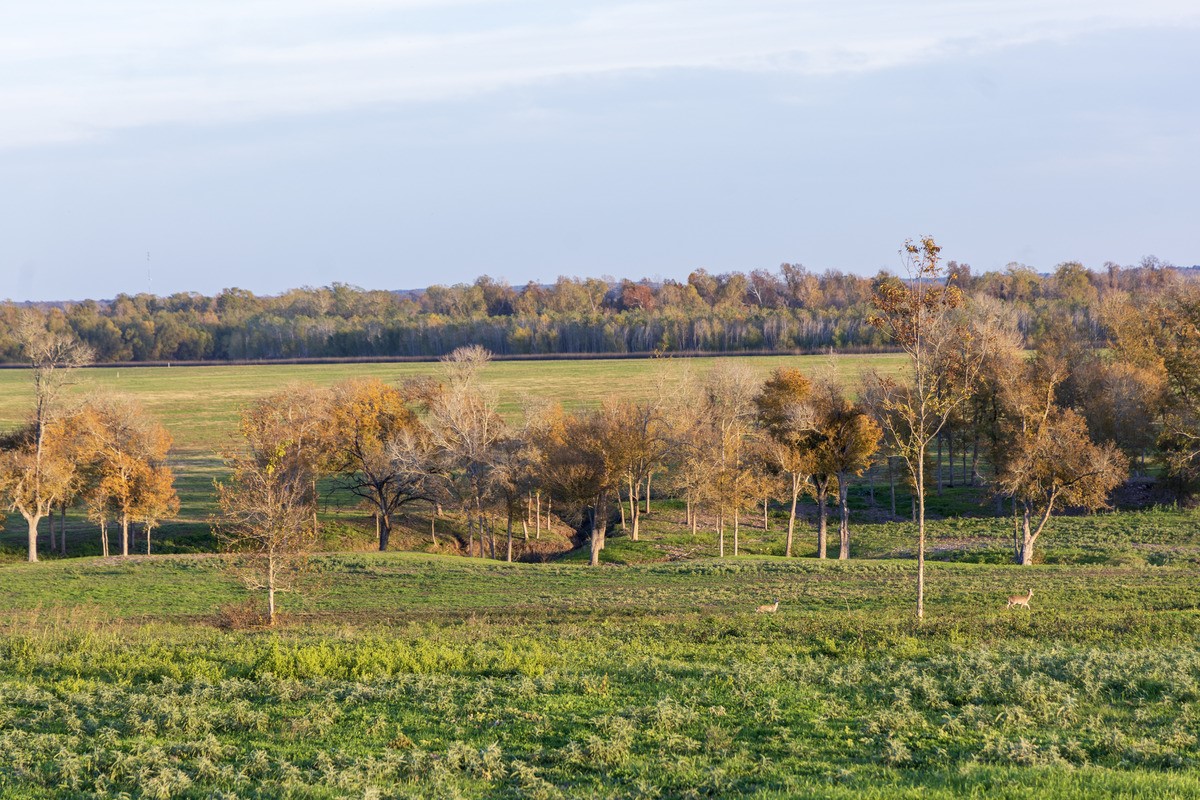 6164 Brazos Bow Way Washington, TX 77880 - Photo 24 of 43 a view of a lake with a mountain in the background