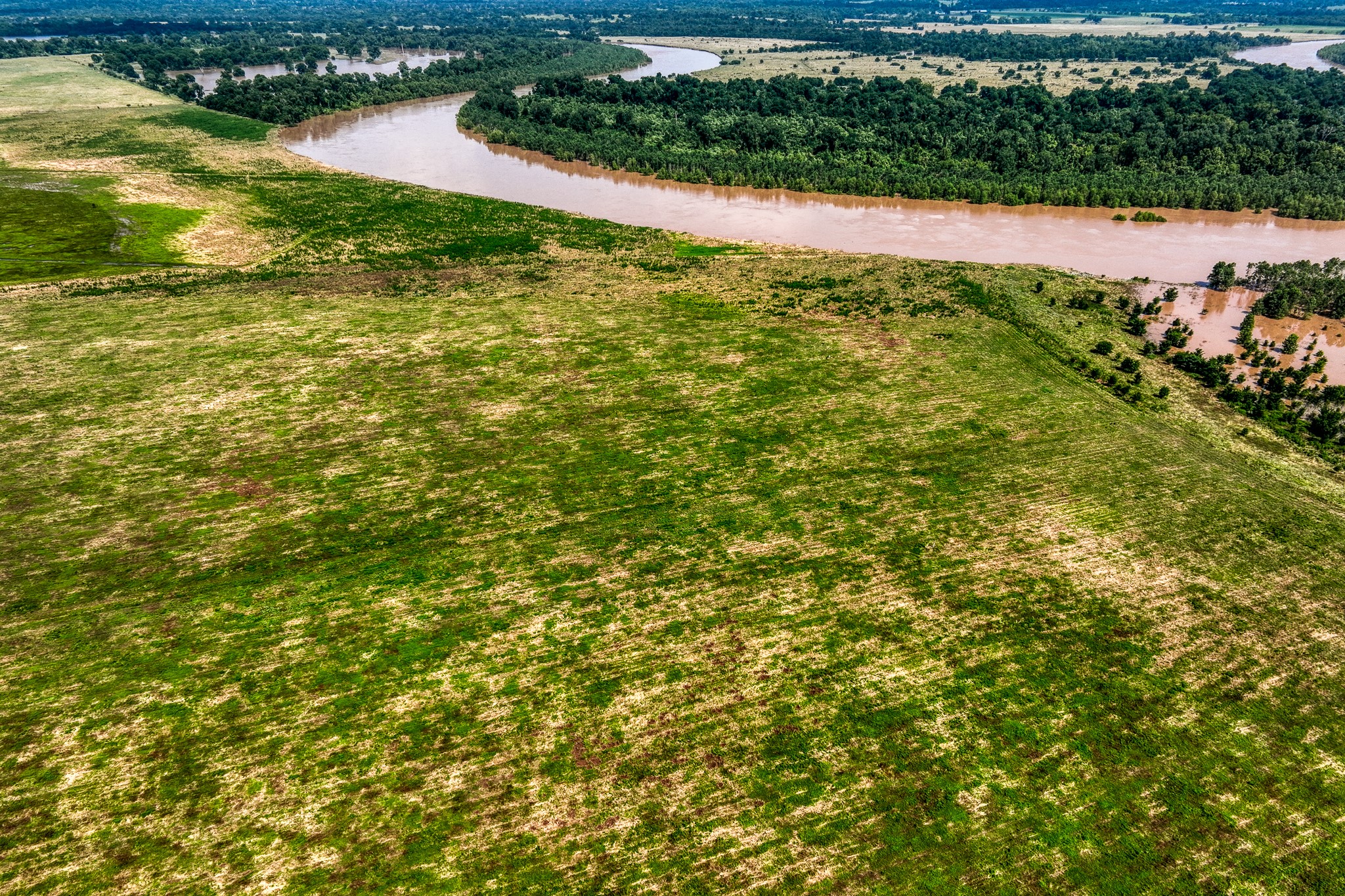 6164 Brazos Bow Way Washington, TX 77880 - Photo 25 of 43 a view of a lake with a yard